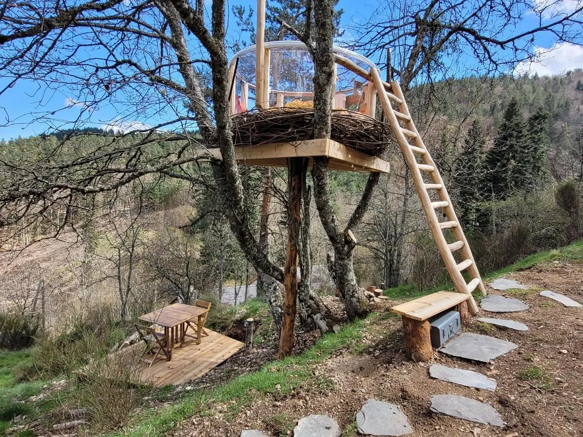 فندق Le Cocon Du Vivarais Rochepaule 0*,